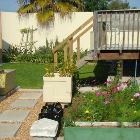 Disa Lodge Darling Ngoại thất bức ảnh